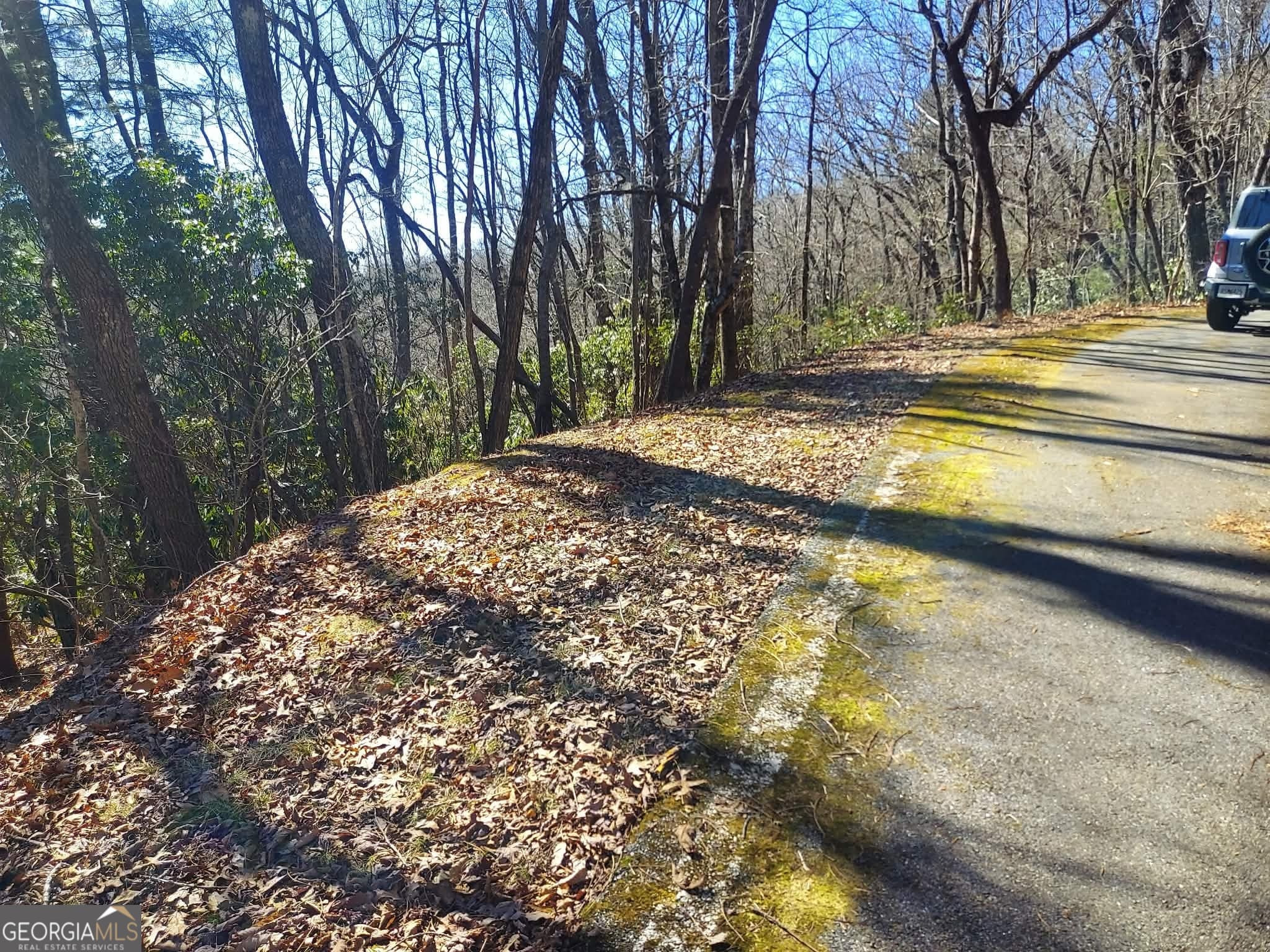 residential lot for sale at 0 LOT 41 Pipetrack Gap Road, Scaly Mtn, NC 28775 — photo 8