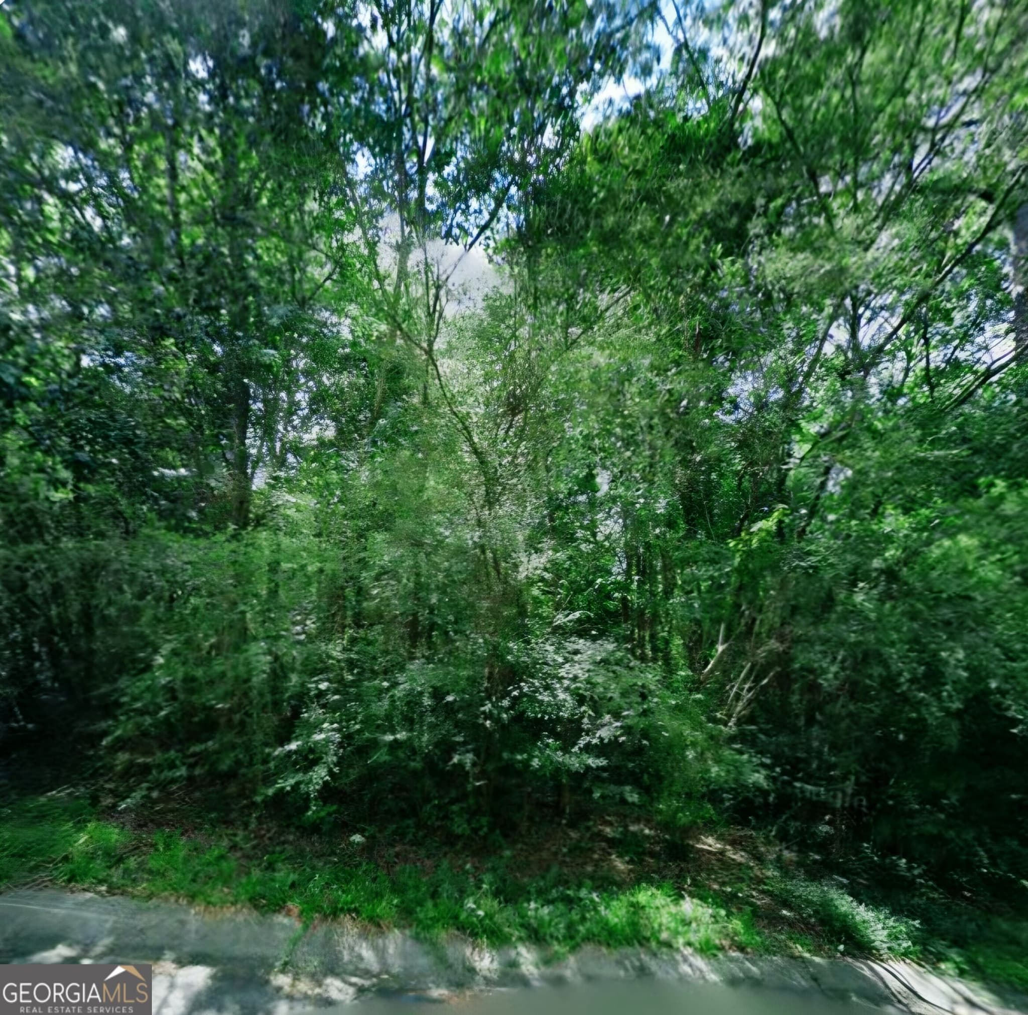 residential lot for sale at 4195 Canyon Road, Macon, GA 31210 — photo 5