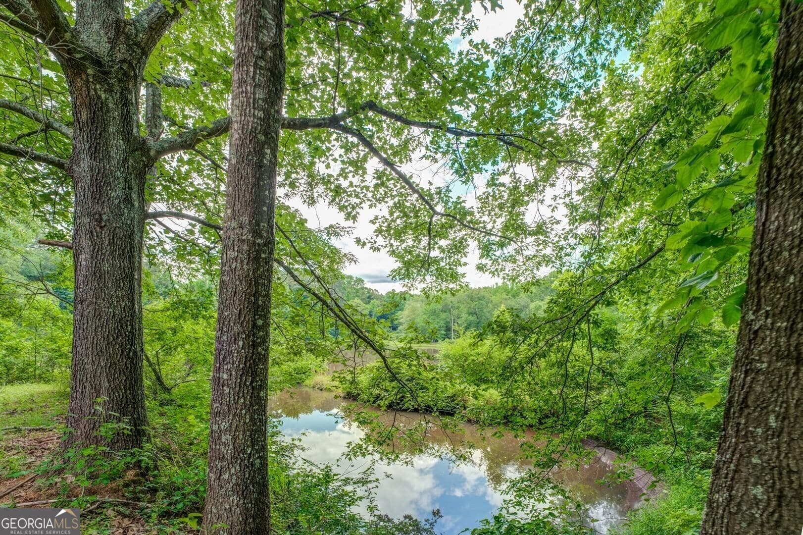 agriculture sold at 79 AC Gordon Road, Hillsboro, GA 31038