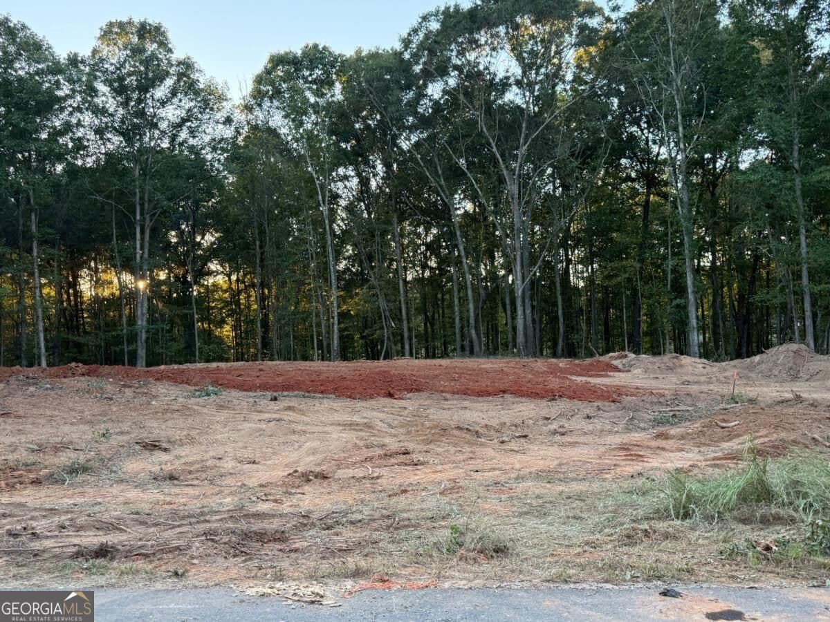 4 bedroom, 3.5 bathroom, 2,538 sq ft single family residence for sale at 37 Springtime Way, Monroe, GA 30655 — photo 3