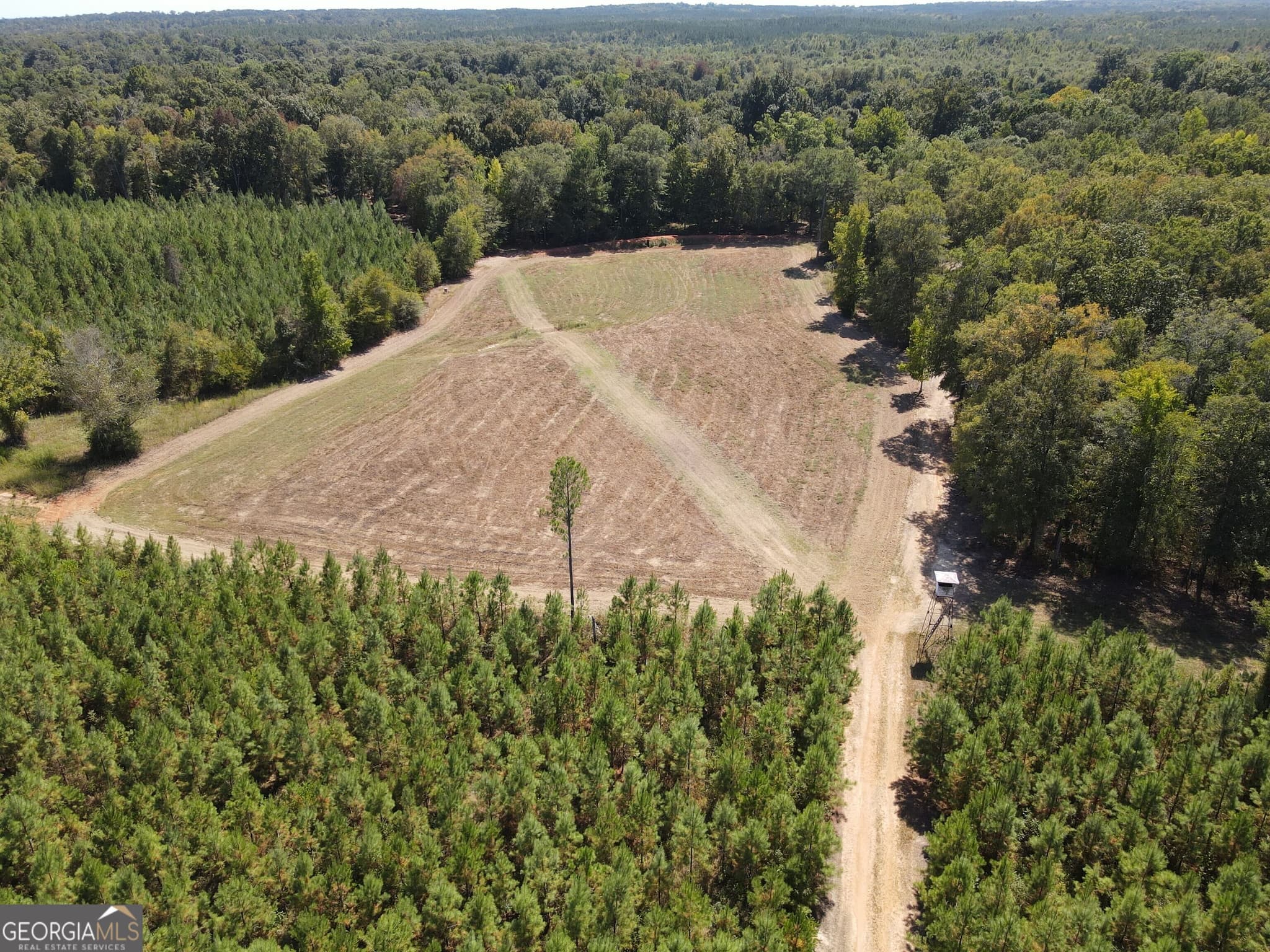 agriculture for sale at 9390 Hopewell Road, Lizella, GA 31052 — photo 6