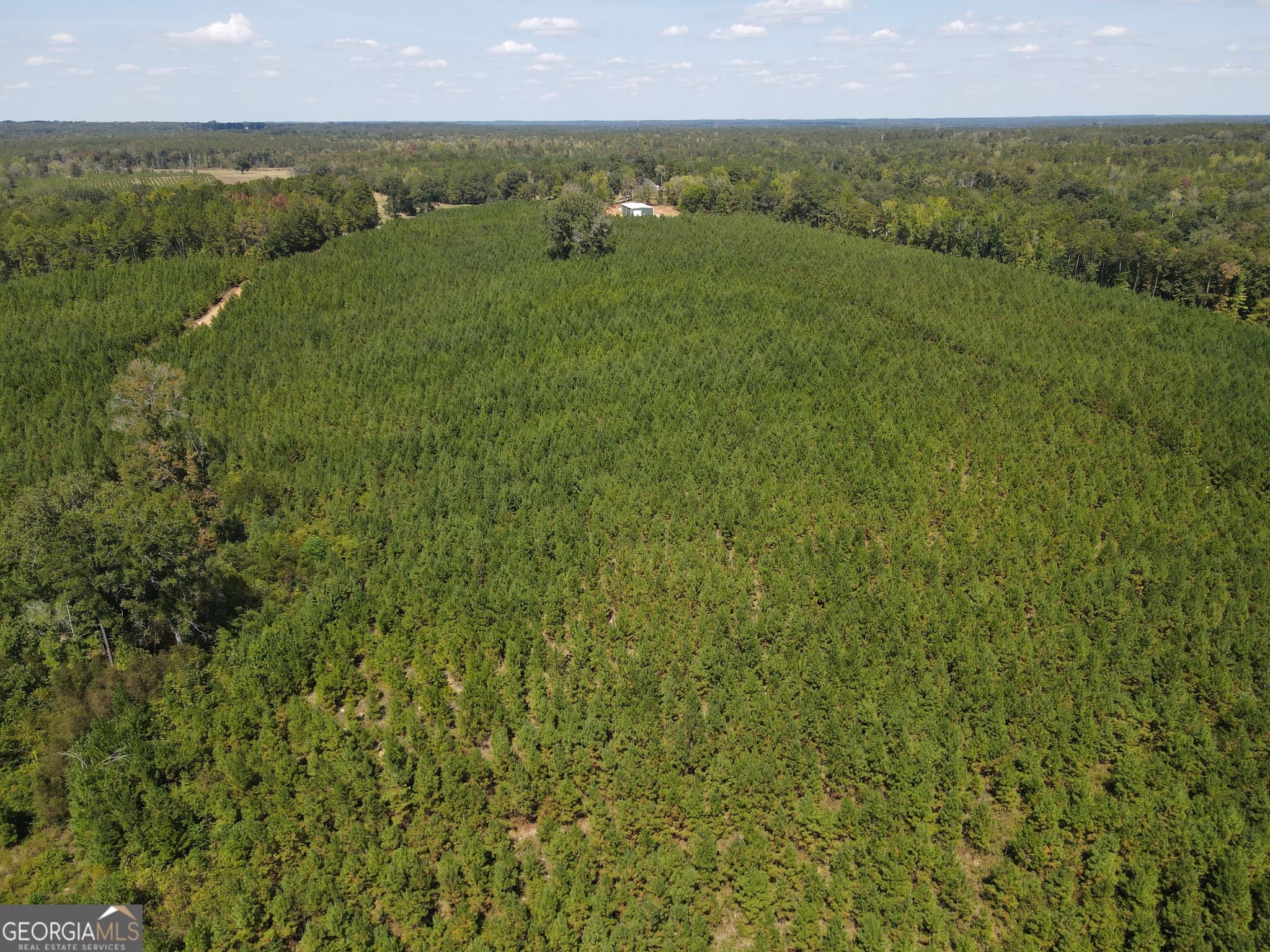 agriculture for sale at 9390 Hopewell Road, Lizella, GA 31052 — photo 7