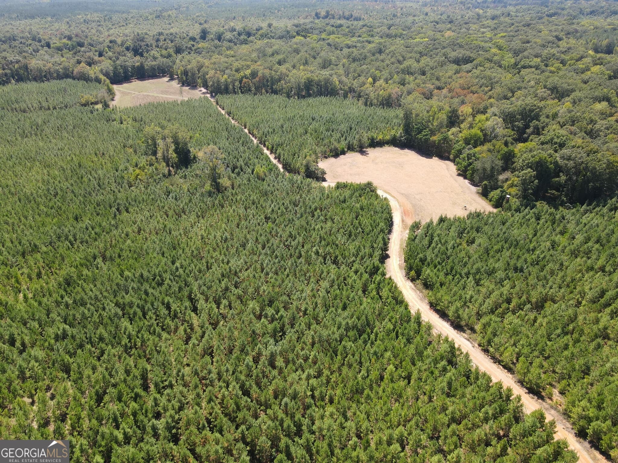 agriculture for sale at 9390 Hopewell Road, Lizella, GA 31052 — photo 3