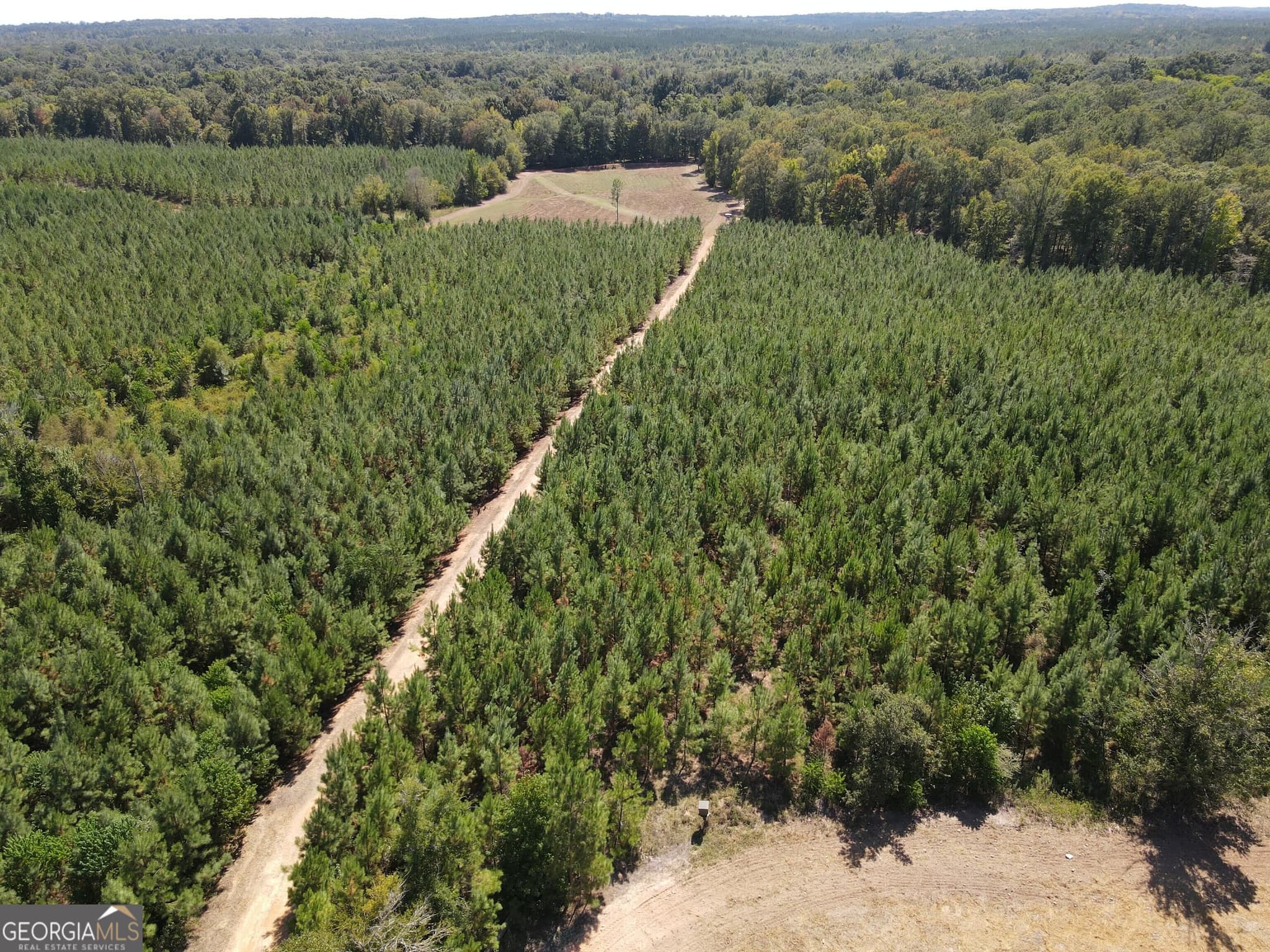 agriculture for sale at 9390 Hopewell Road, Lizella, GA 31052 — photo 5