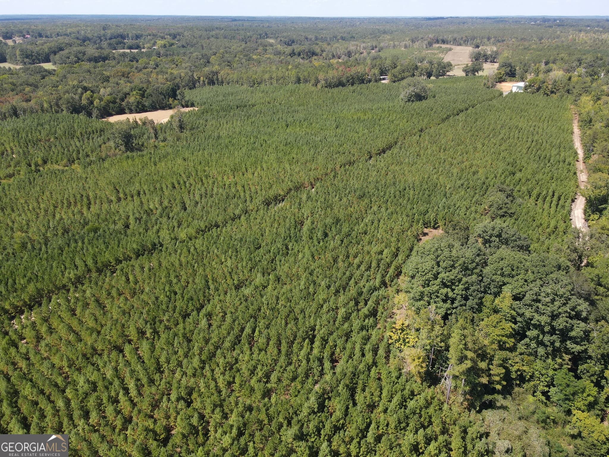 agriculture for sale at 9390 Hopewell Road, Lizella, GA 31052 — photo 9