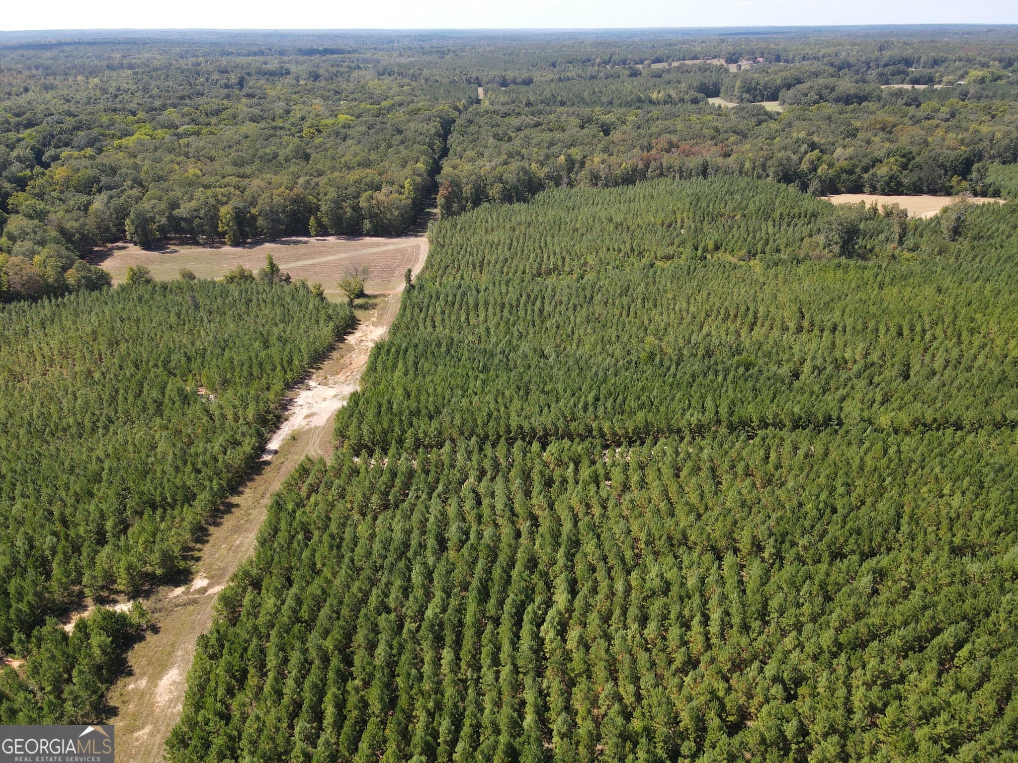 agriculture for sale at 9390 Hopewell Road, Lizella, GA 31052 — photo 10