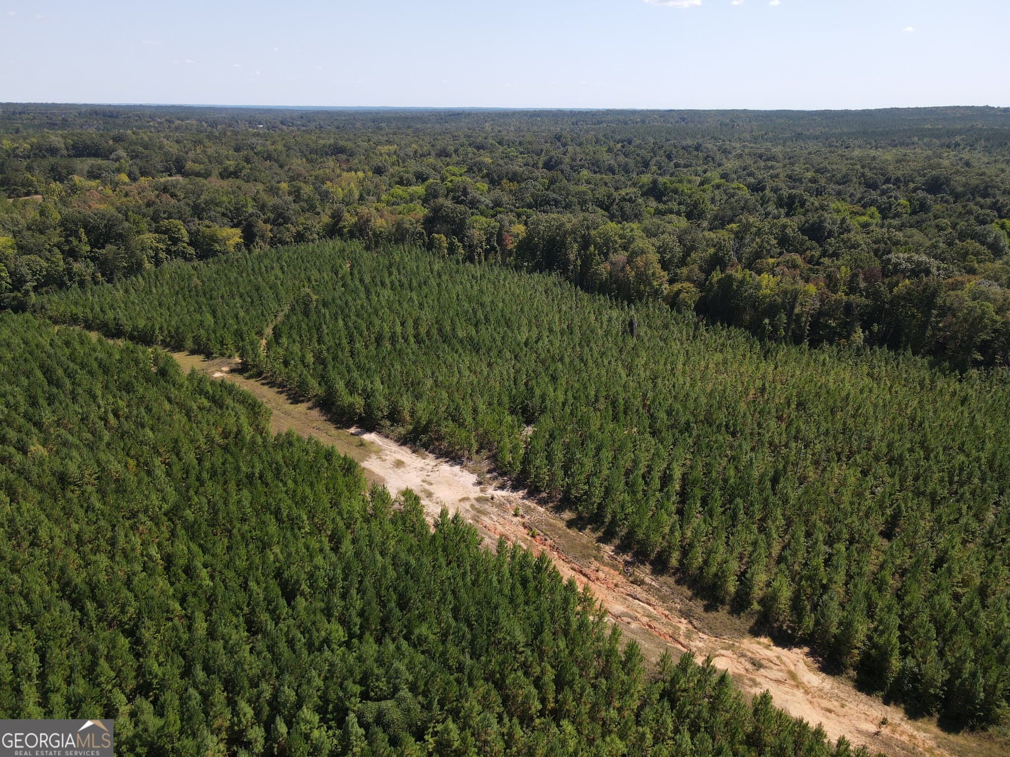 agriculture for sale at 9390 Hopewell Road, Lizella, GA 31052 — photo 8