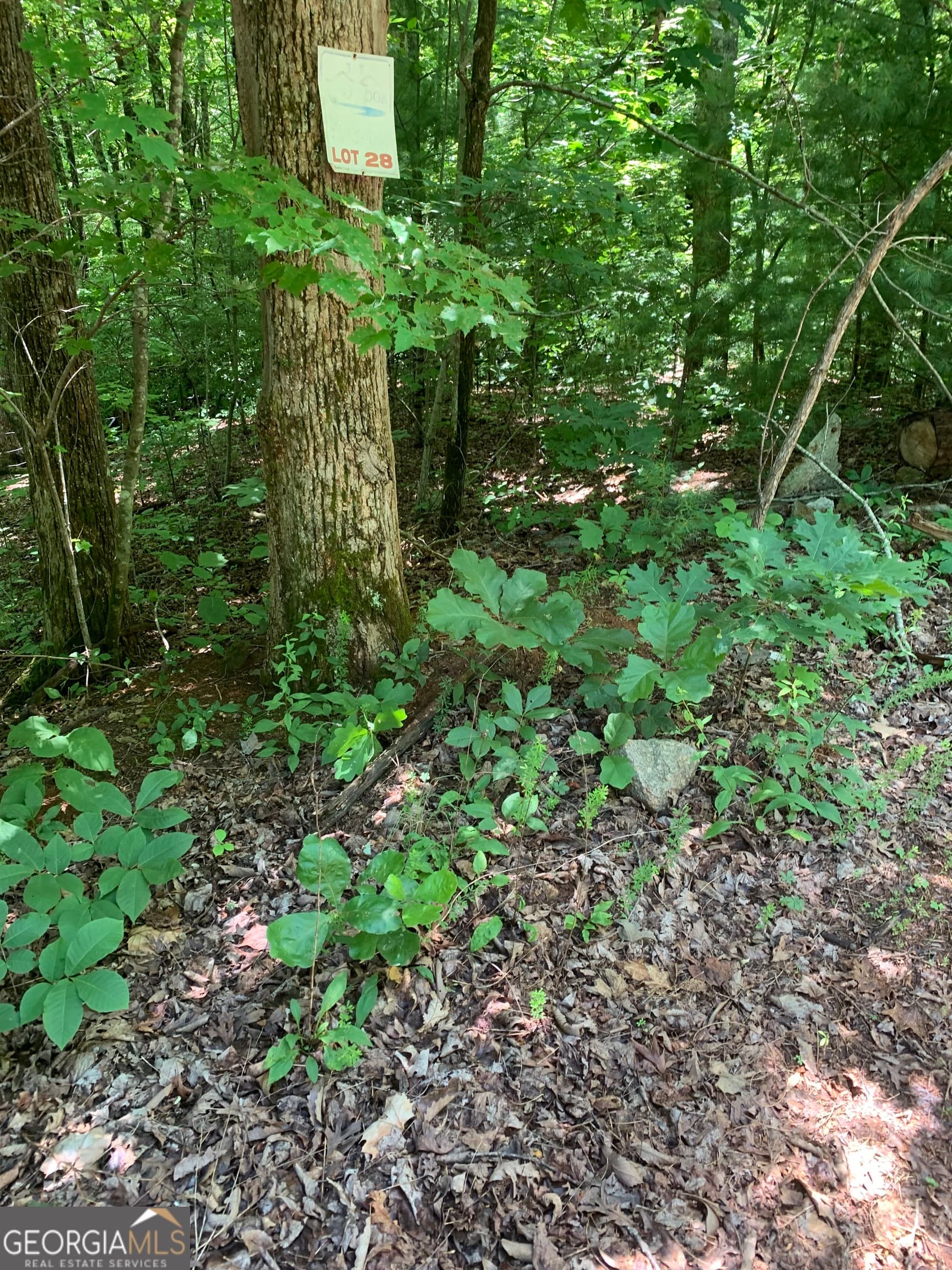 residential lot for sale at LOT 28 King Mountain Drive, Clayton, GA 30525 — photo 2