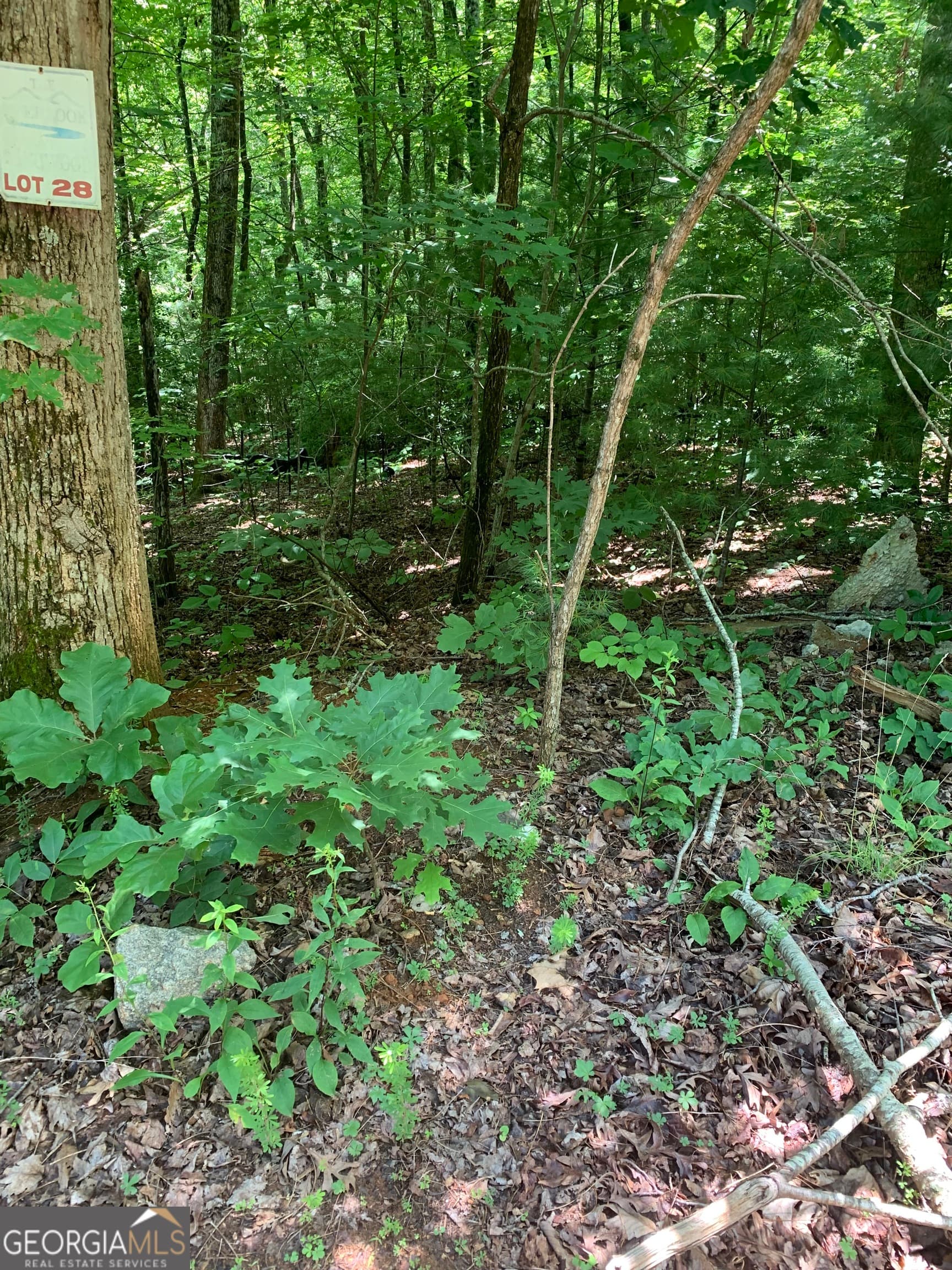 residential lot for sale at LOT 28 King Mountain Drive, Clayton, GA 30525 — photo 5