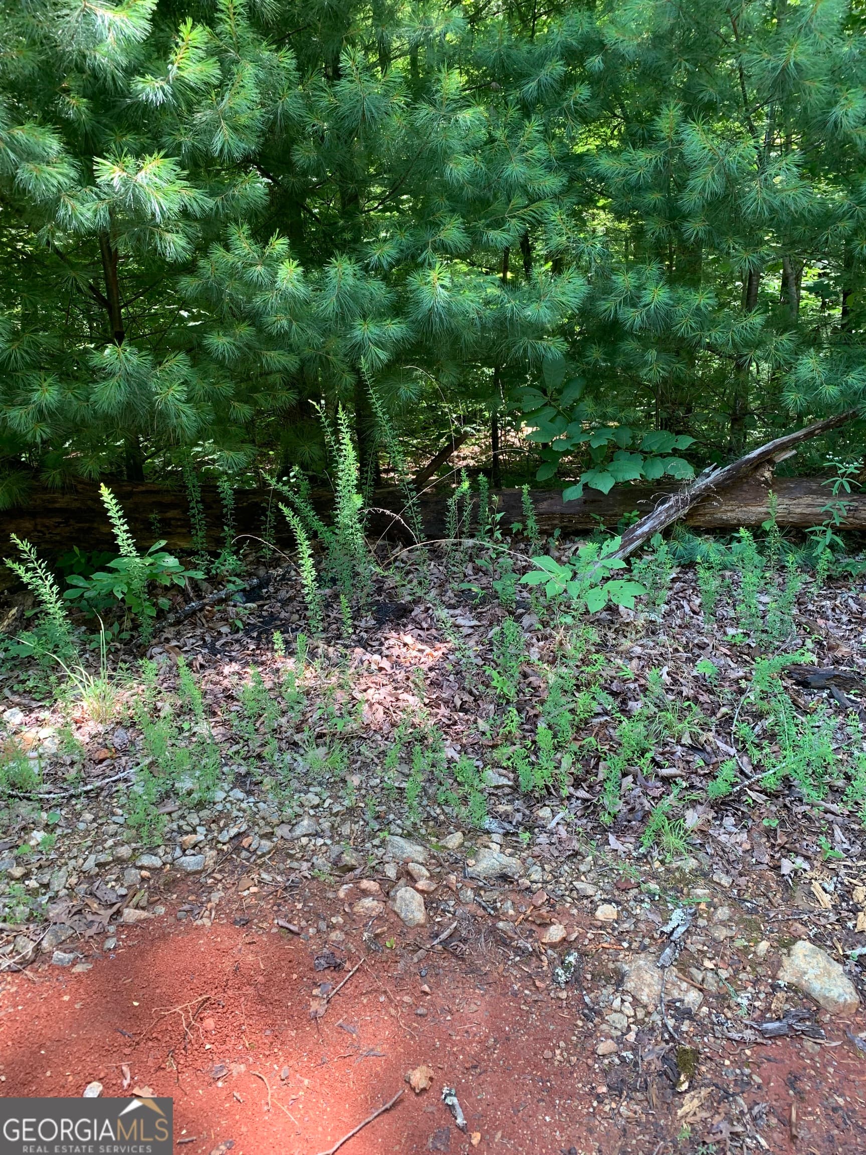residential lot for sale at LOT 28 King Mountain Drive, Clayton, GA 30525 — photo 4