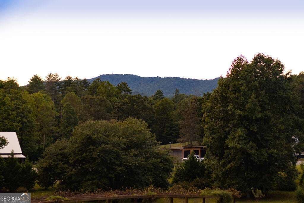 3 bedroom, 3 bathroom, 2,240 sq ft cabin,single family residence for sale at 210 W Pierceville Road, Mccaysville, GA 30555 — photo 2