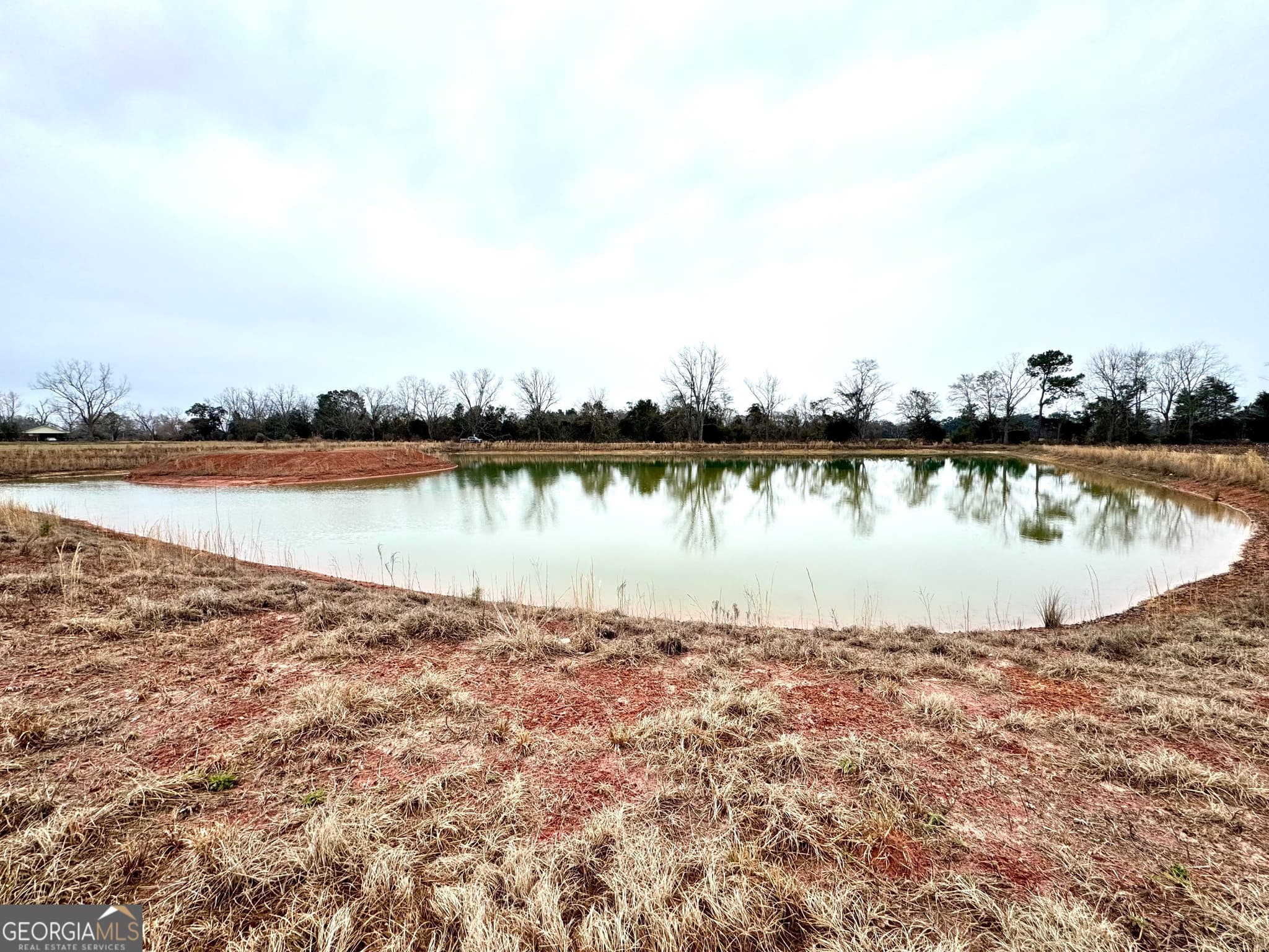 agriculture for sale at 0 R P Miller Road, Brooklet, GA 30415 — photo 6