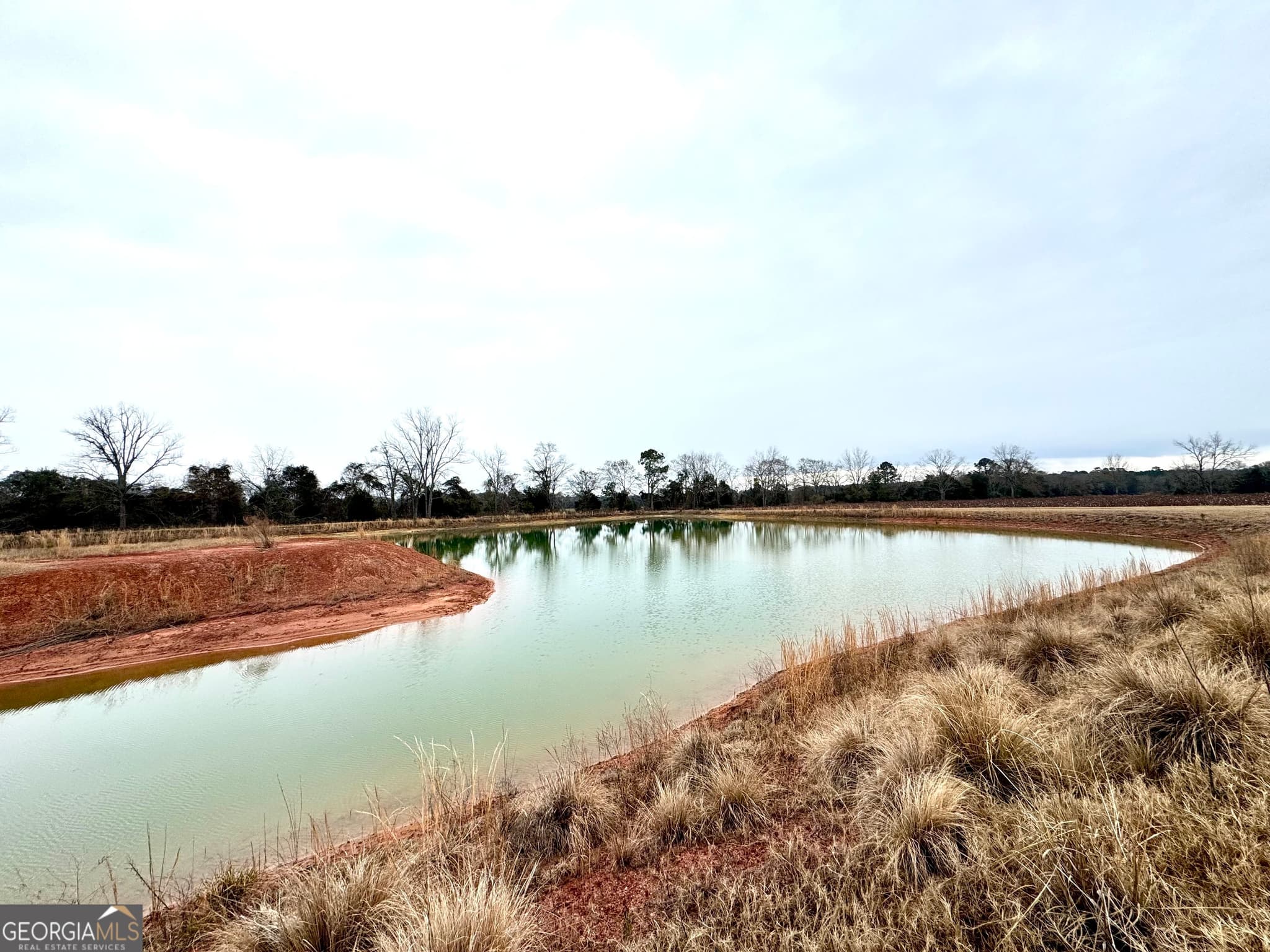 agriculture for sale at 0 R P Miller Road, Brooklet, GA 30415 — photo 7