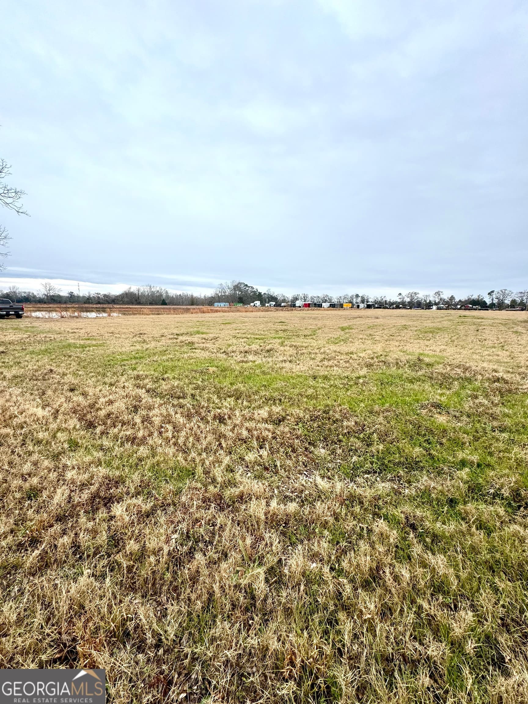 agriculture for sale at 0 R P Miller Road, Brooklet, GA 30415 — photo 3