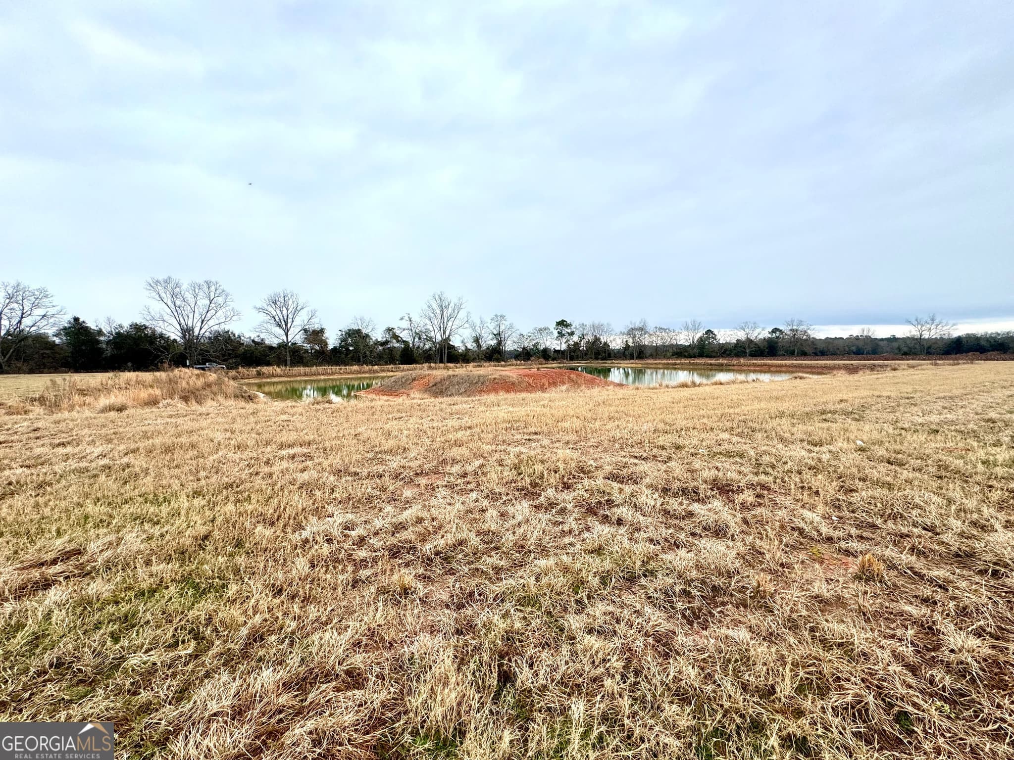 agriculture for sale at 0 R P Miller Road, Brooklet, GA 30415 — photo 5