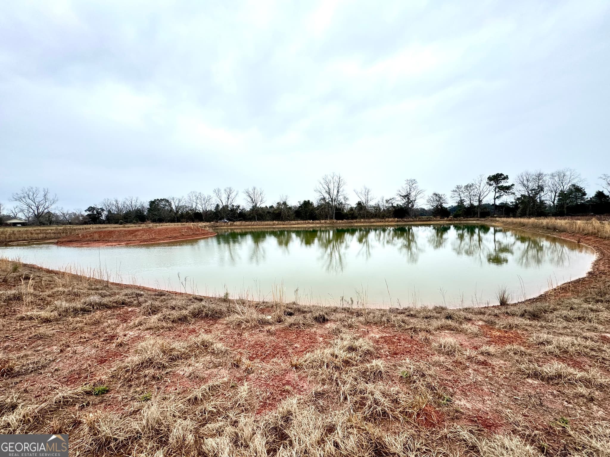 agriculture for sale at 0 R P Miller Road, Brooklet, GA 30415 — photo 9