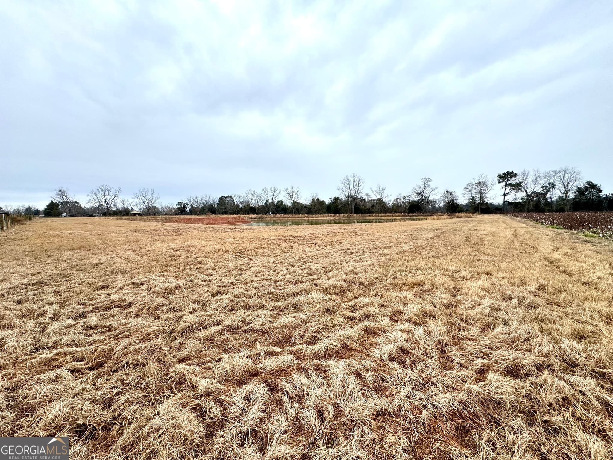 agriculture for sale at 0 R P Miller Road, Brooklet, GA 30415 — photo 10
