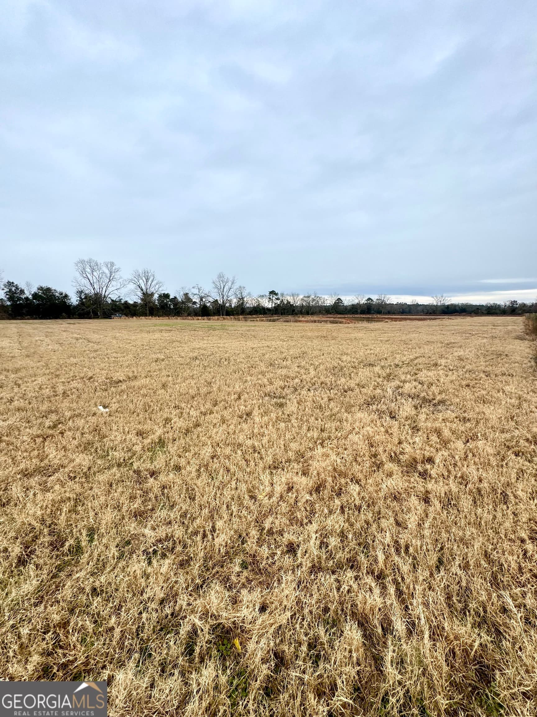 agriculture for sale at 0 R P Miller Road, Brooklet, GA 30415 — photo 4
