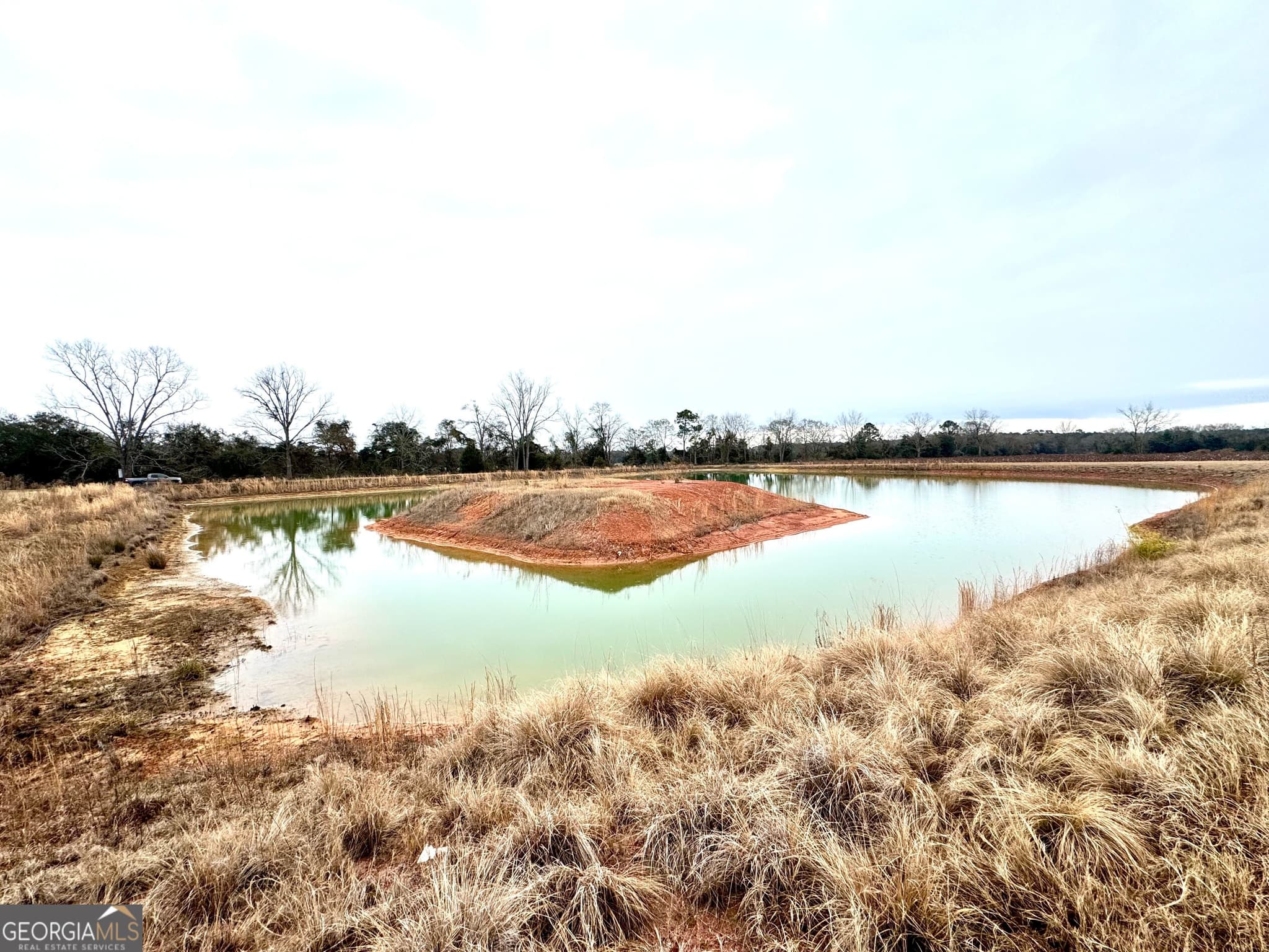agriculture for sale at 0 R P Miller Road, Brooklet, GA 30415 — photo 8