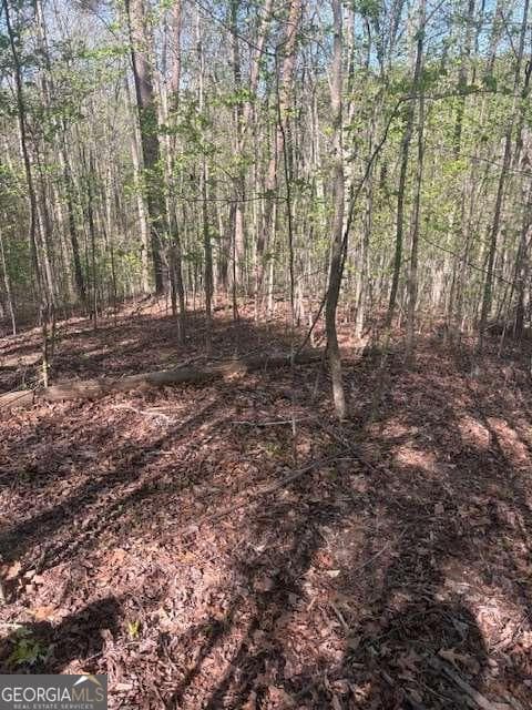 residential lot for sale at 0 Heatherwood Way, Talking Rock, GA 30175 — photo 2