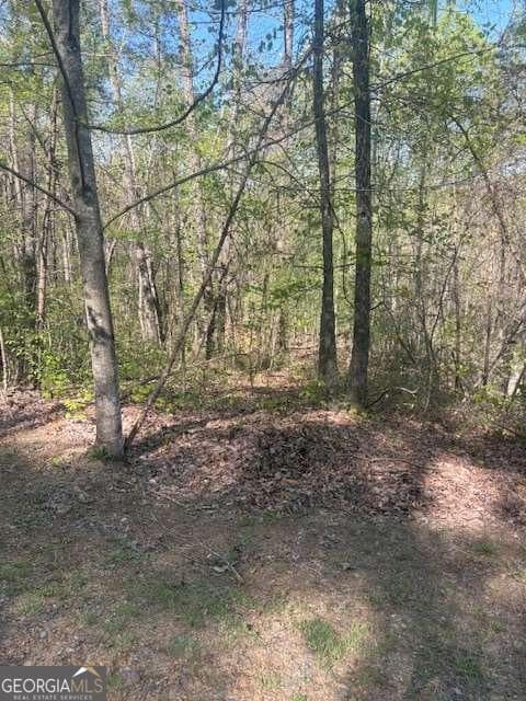 residential lot for sale at 0 Heatherwood Way, Talking Rock, GA 30175 — photo 7