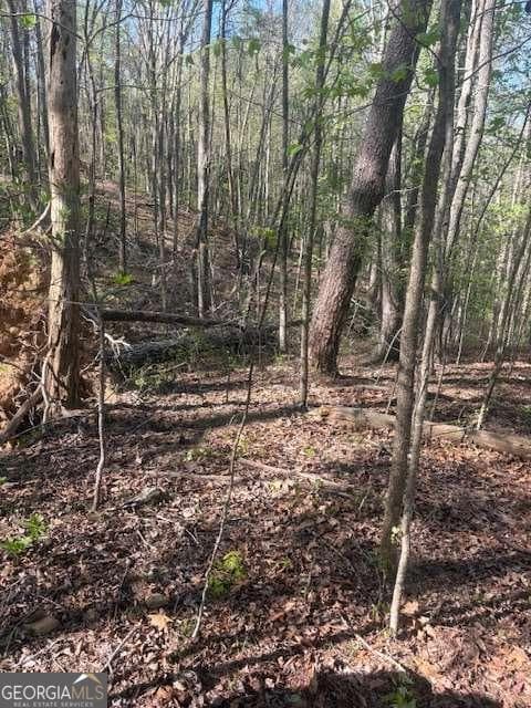 residential lot for sale at 0 Heatherwood Way, Talking Rock, GA 30175 — photo 3