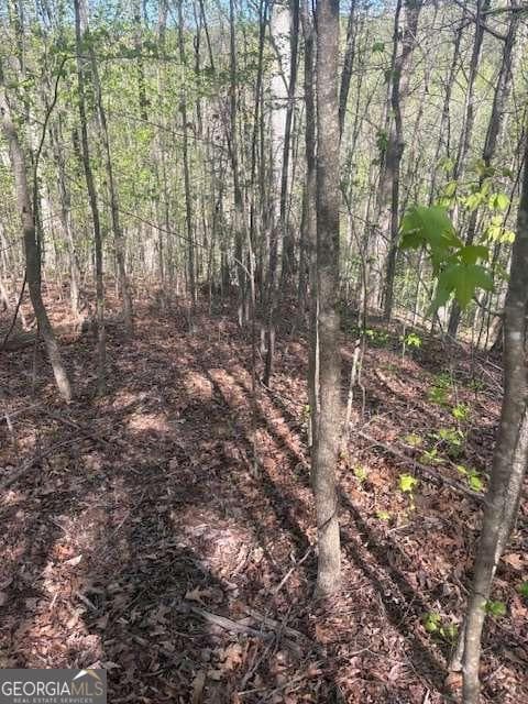residential lot for sale at 0 Heatherwood Way, Talking Rock, GA 30175 — photo 1 of 11
