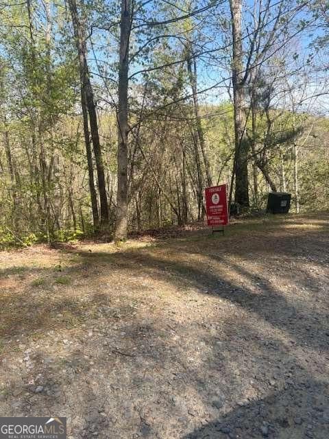 residential lot for sale at 0 Heatherwood Way, Talking Rock, GA 30175 — photo 9