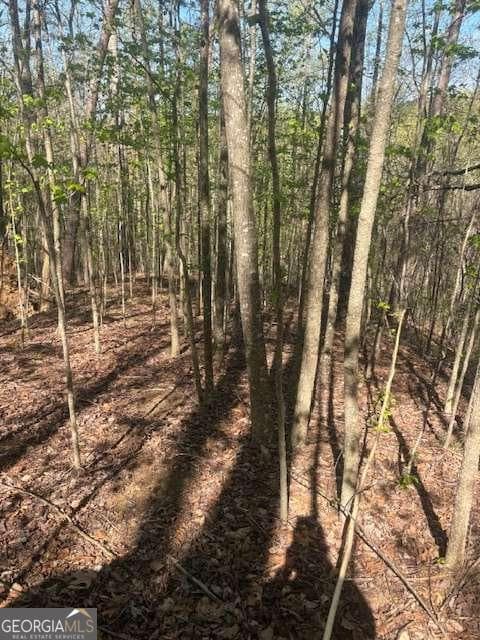 residential lot for sale at 0 Heatherwood Way, Talking Rock, GA 30175 — photo 4