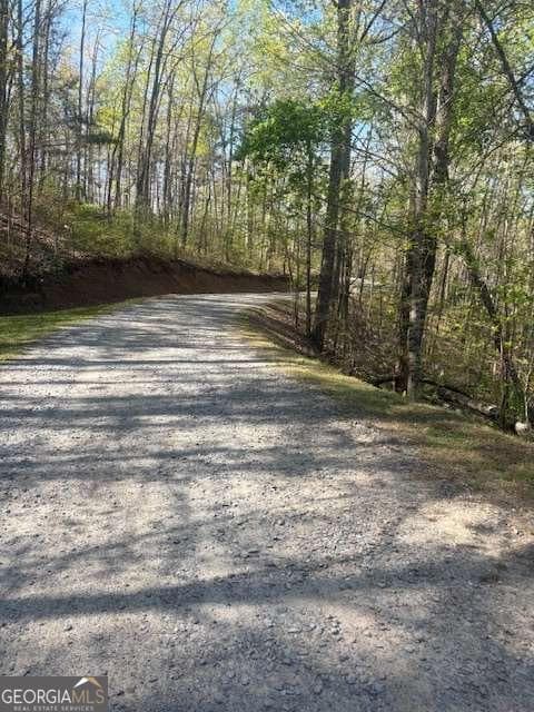 residential lot for sale at 0 Heatherwood Way, Talking Rock, GA 30175 — photo 8