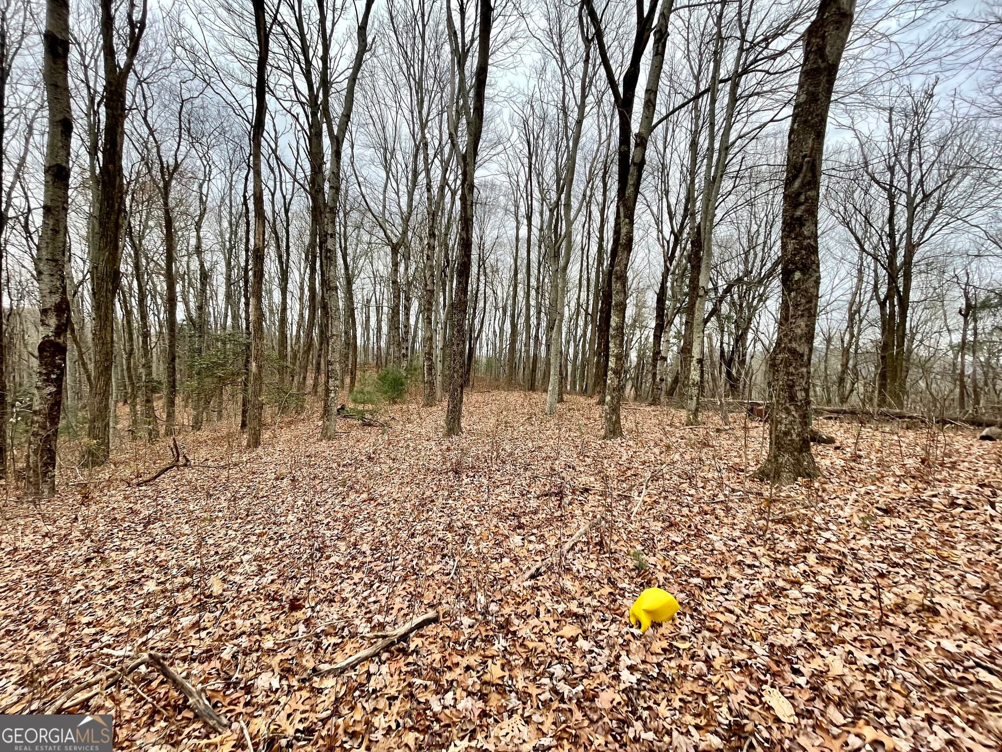 agriculture sold at 128 Locust Log Lane, Scaly Mtn, NC 28775