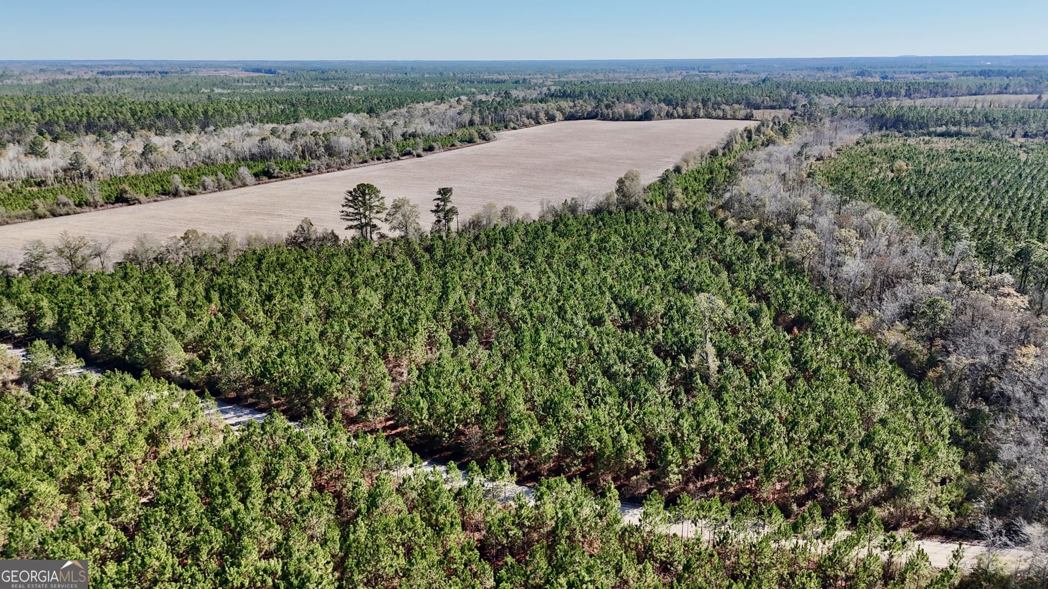agriculture sold at 12 AC Owens Road, Odum, GA 31555