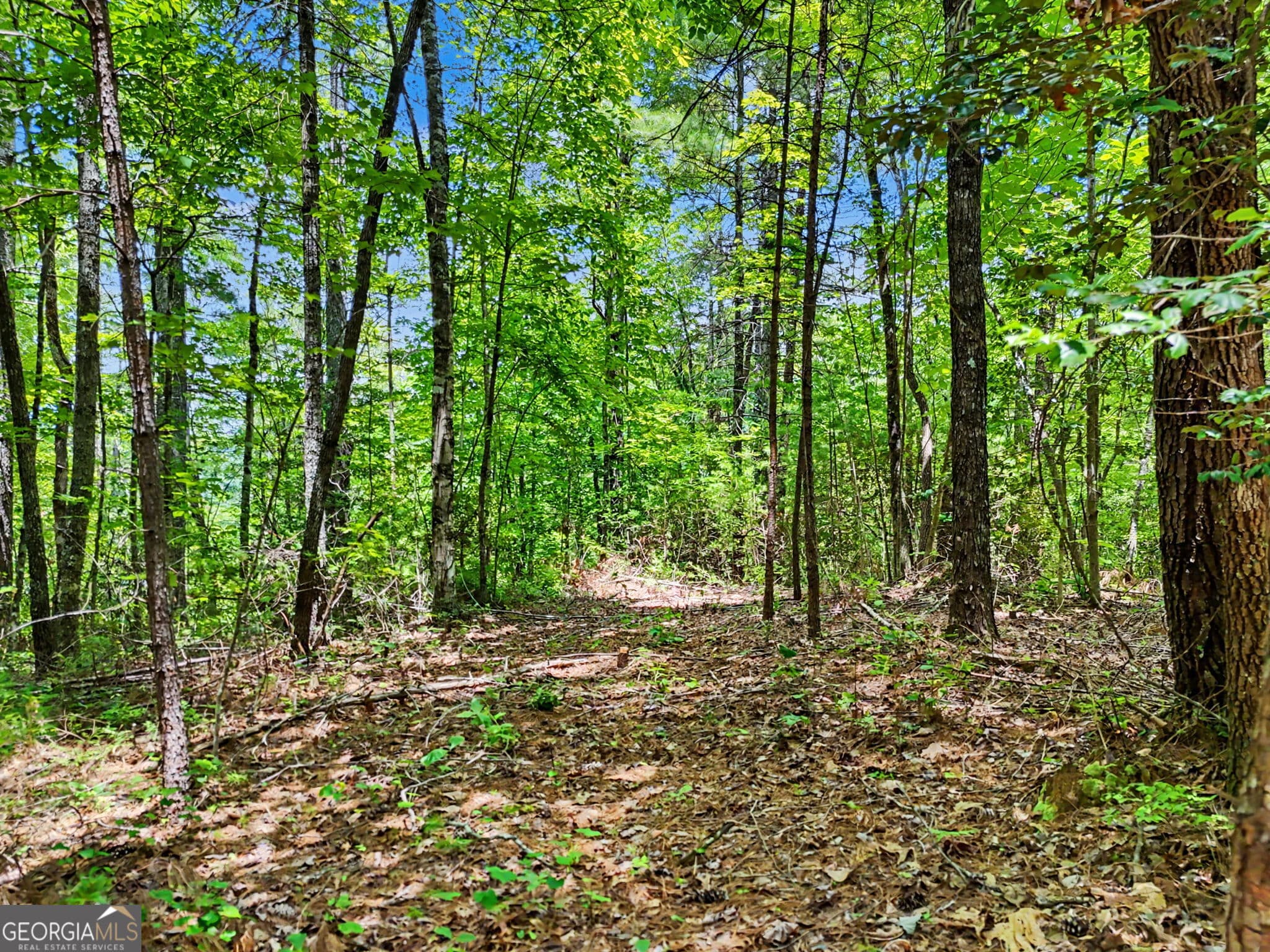 residential lot for sale at 0 Hidden Falls Drive LOT 3, Tiger, GA 30576 — photo 7