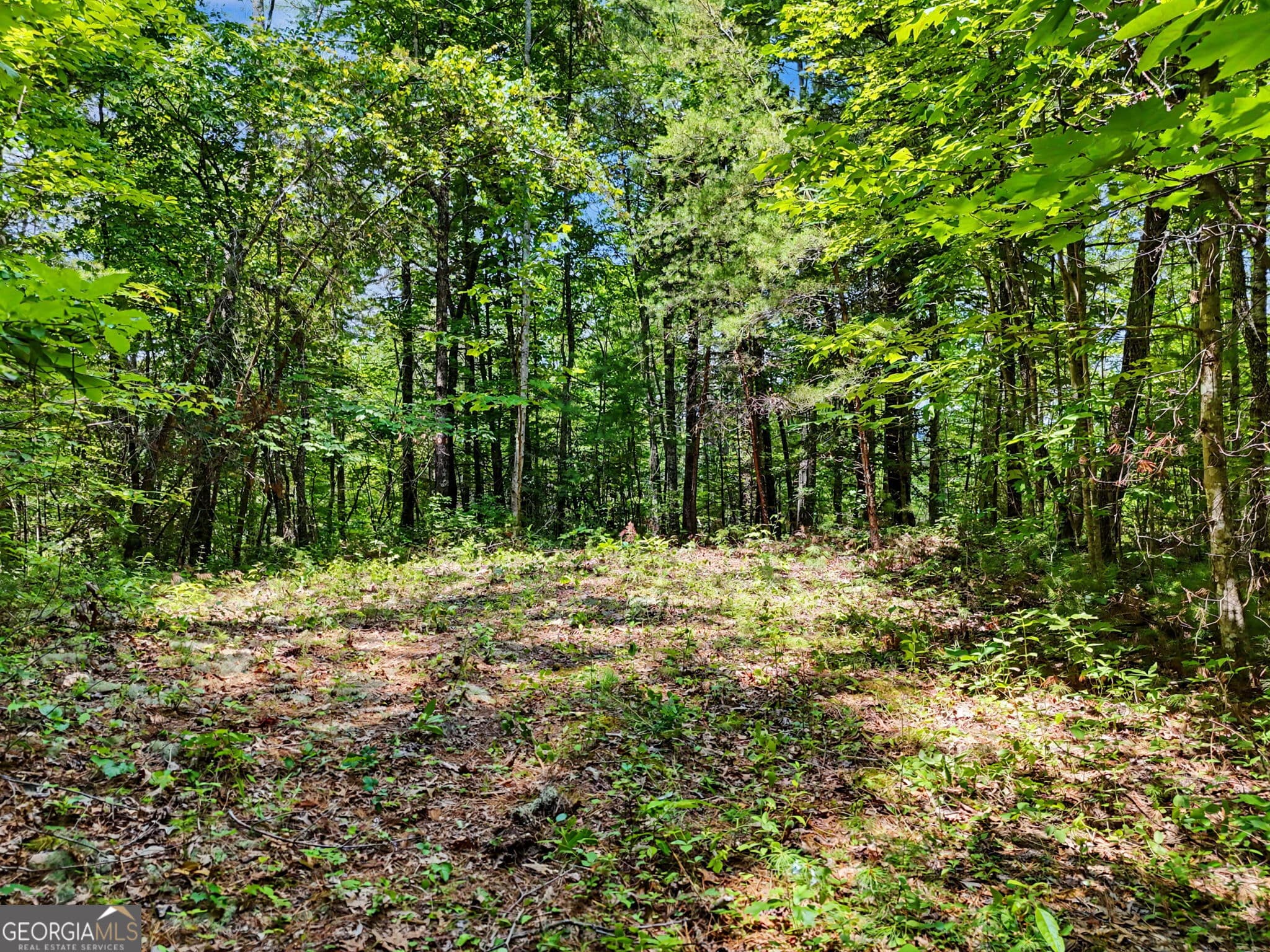 residential lot for sale at 0 Hidden Falls Drive LOT 3, Tiger, GA 30576 — photo 1 of 14