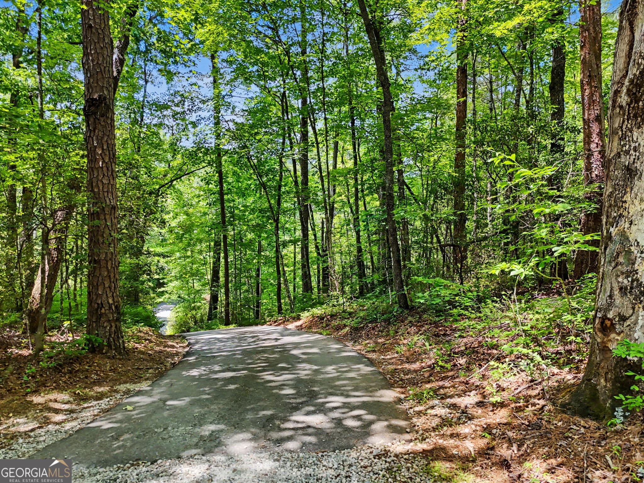 residential lot for sale at 0 Hidden Falls Drive LOT 3, Tiger, GA 30576 — photo 9
