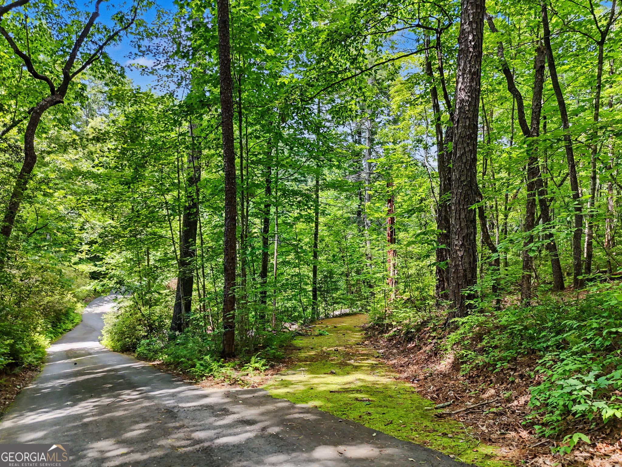 residential lot for sale at 0 Hidden Falls Drive LOT 3, Tiger, GA 30576 — photo 10