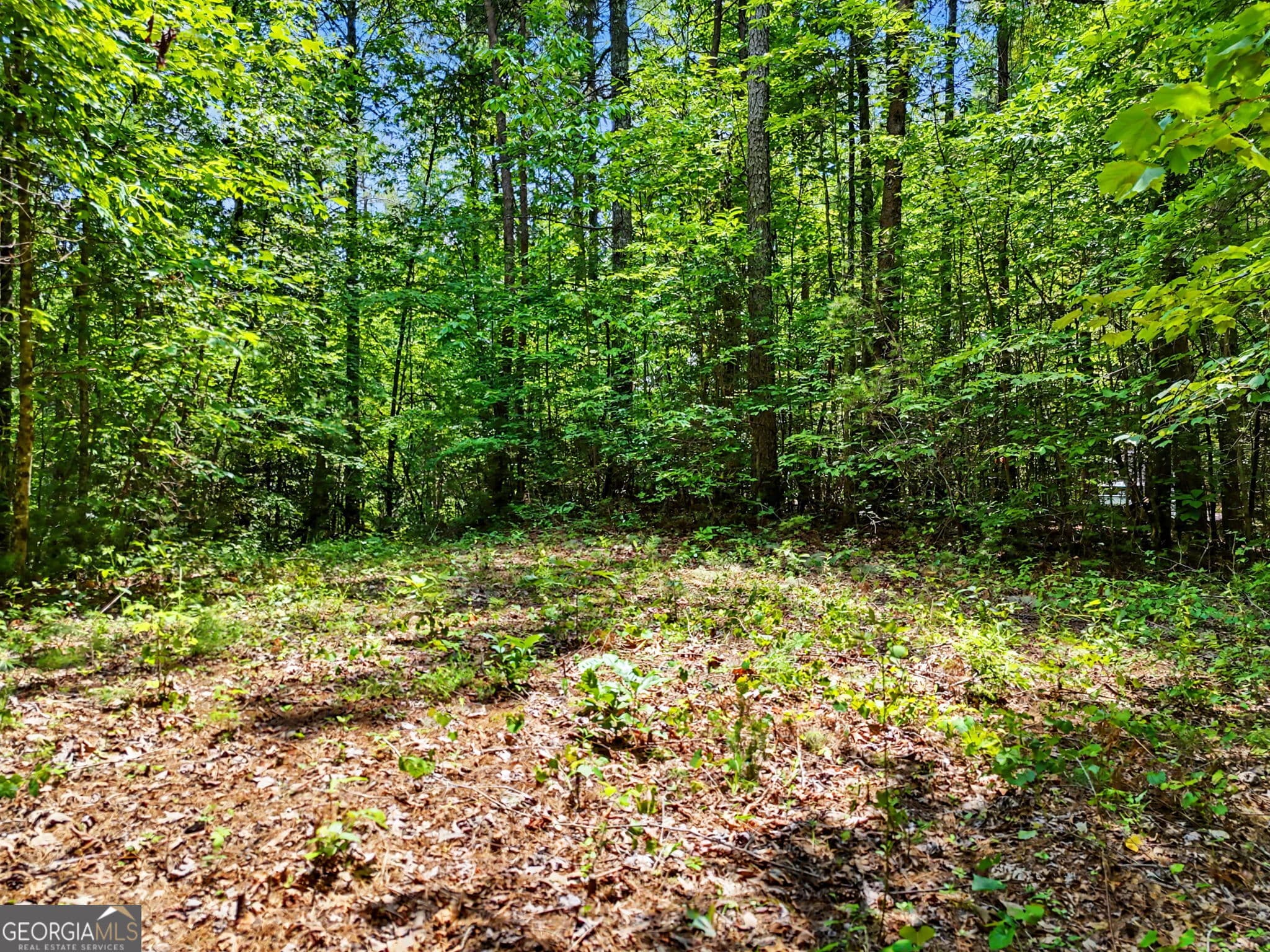 residential lot for sale at 0 Hidden Falls Drive LOT 3, Tiger, GA 30576 — photo 8