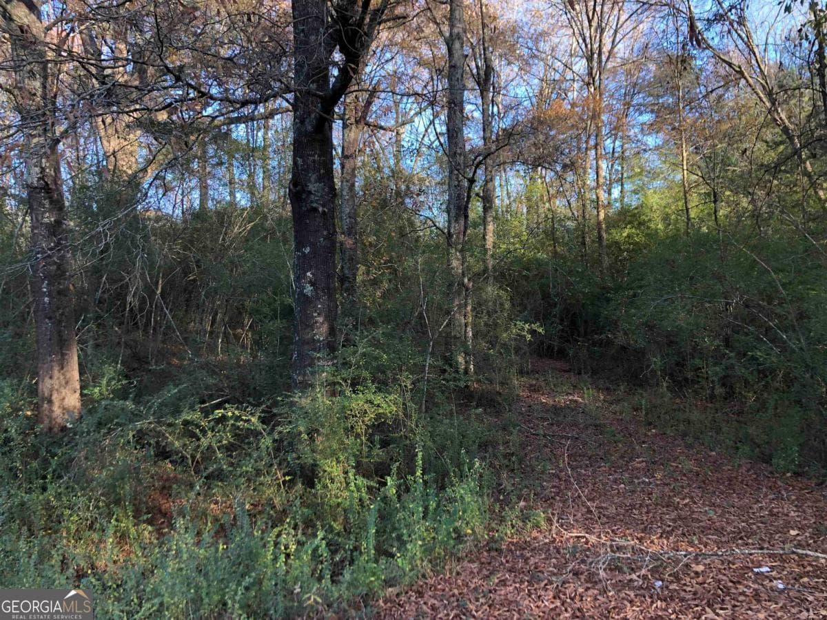 residential lot for sale at 0 Monticello Road, Eatonton, GA 31024 — photo 2