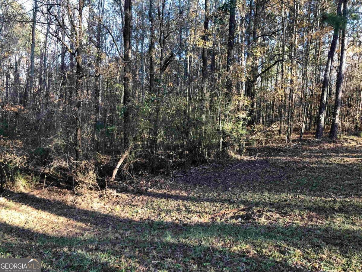 residential lot for sale at 0 Monticello Road, Eatonton, GA 31024 — photo 6