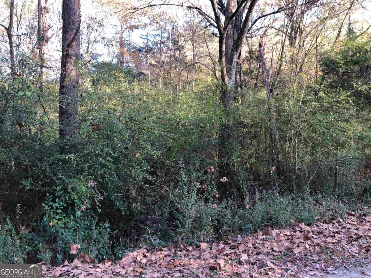 residential lot for sale at 0 Monticello Road, Eatonton, GA 31024 — photo 4