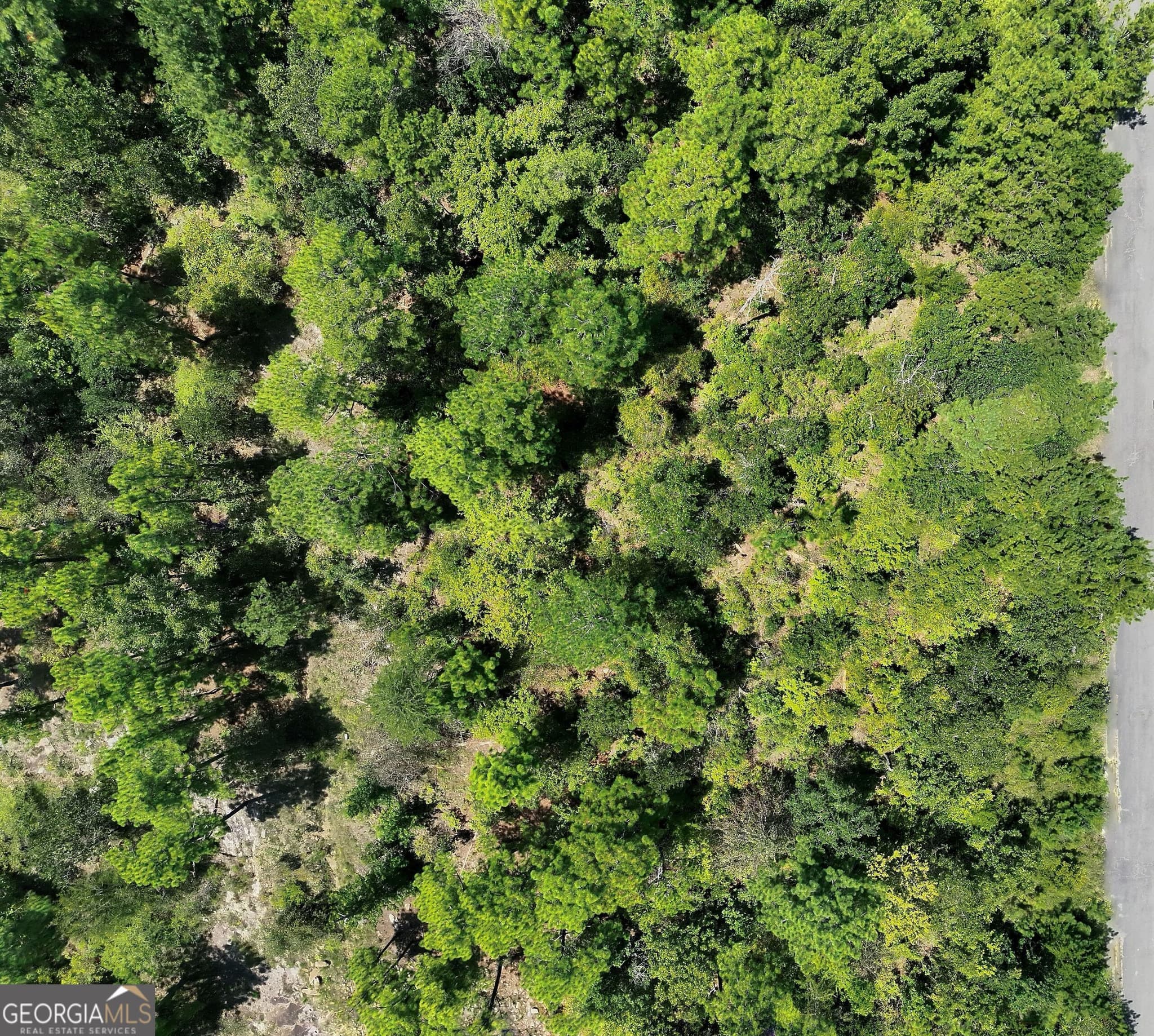 residential lot for sale at 1016 Sterling Lakes Circle, Helena, AL 35022 — photo 3