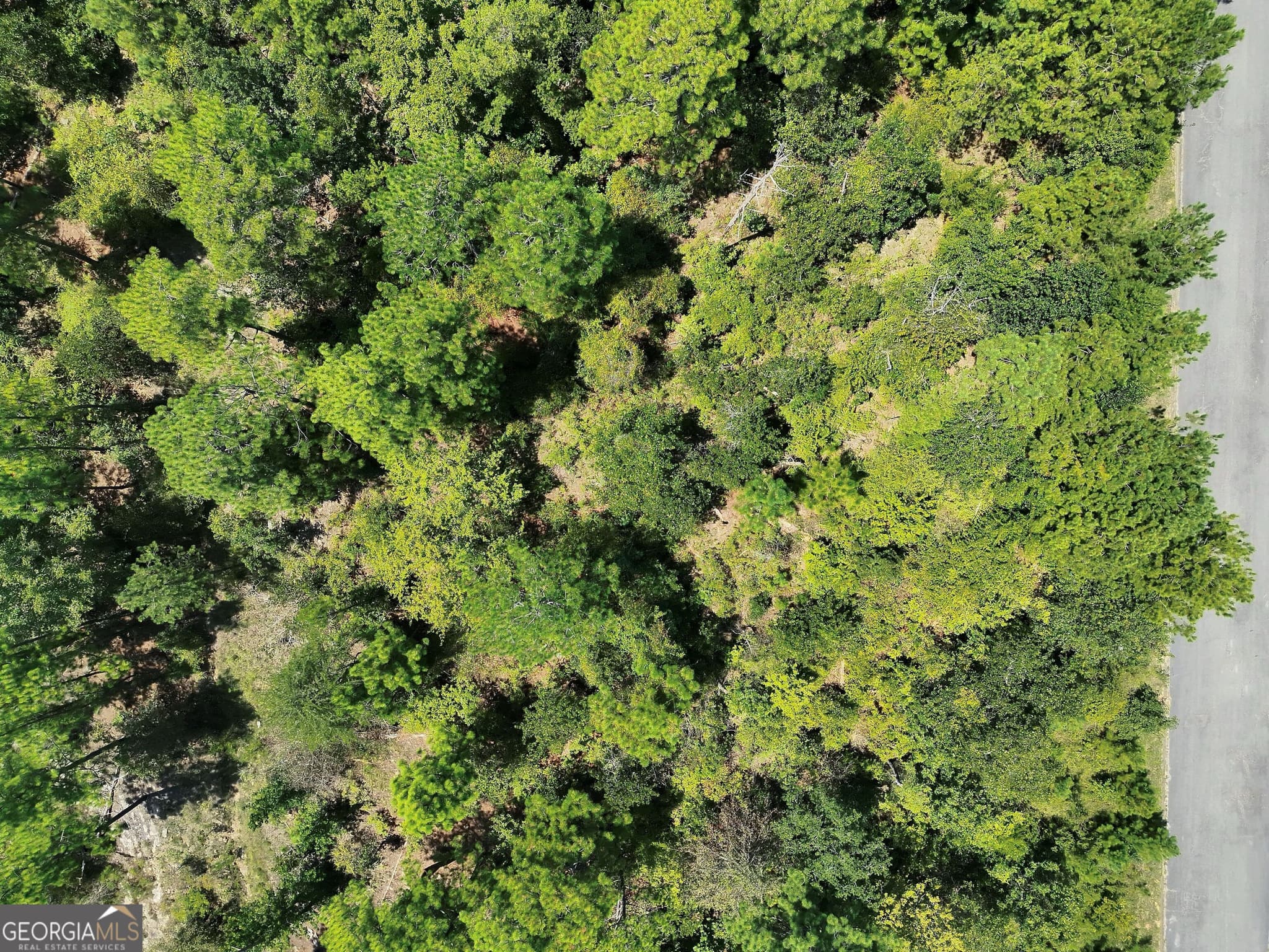 residential lot for sale at 1016 Sterling Lakes Circle, Helena, AL 35022 — photo 4
