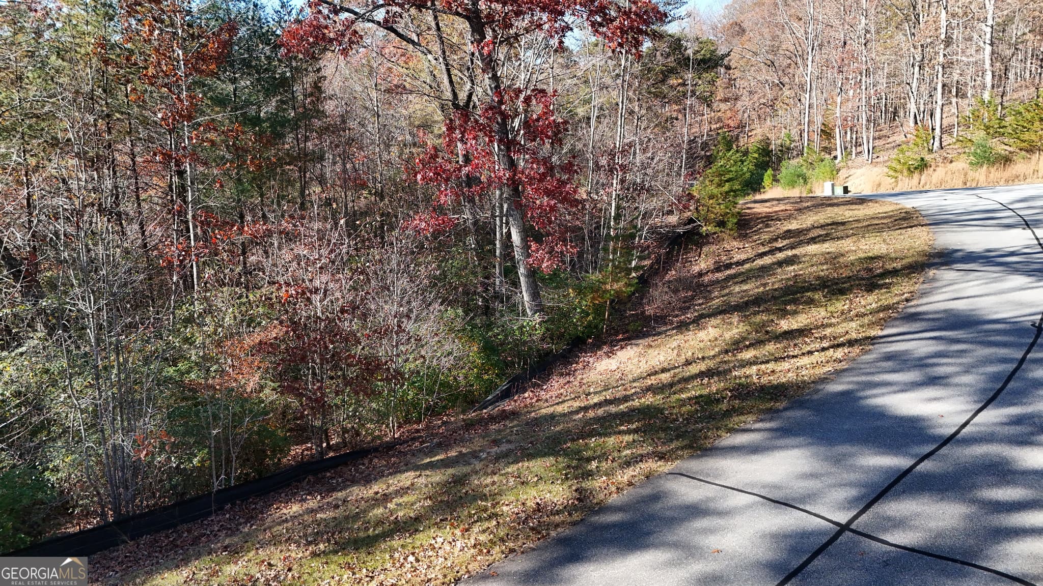 residential lot for sale at LOT 197 Springwinds Drive, Cleveland, GA 30528 — photo 2