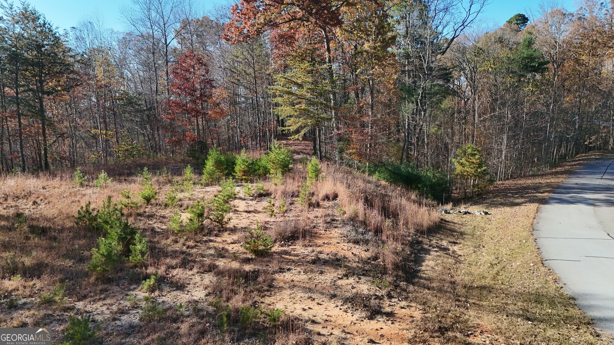 residential lot for sale at LOT 197 Springwinds Drive, Cleveland, GA 30528 — photo 6