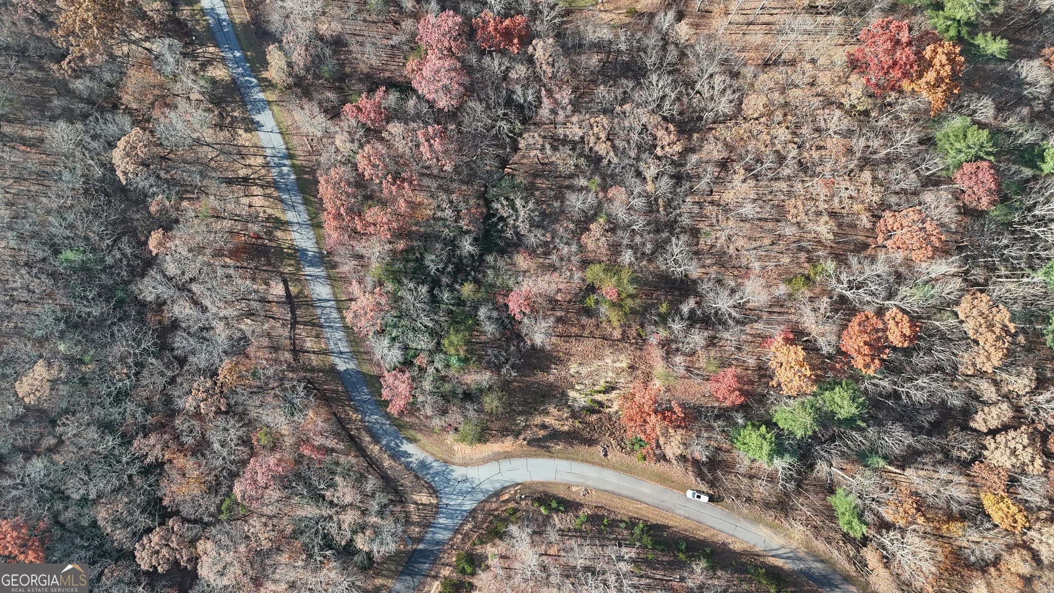 residential lot for sale at LOT 197 Springwinds Drive, Cleveland, GA 30528 — photo 7