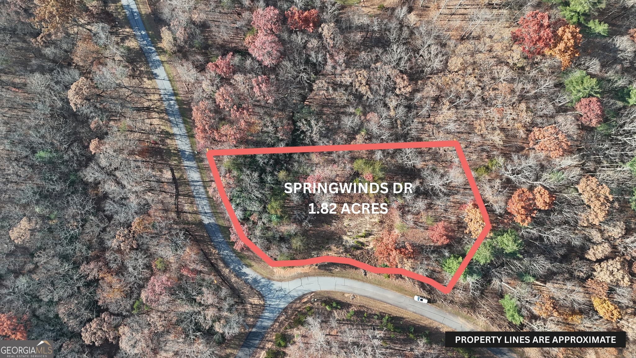 residential lot for sale at LOT 197 Springwinds Drive, Cleveland, GA 30528 — photo 3
