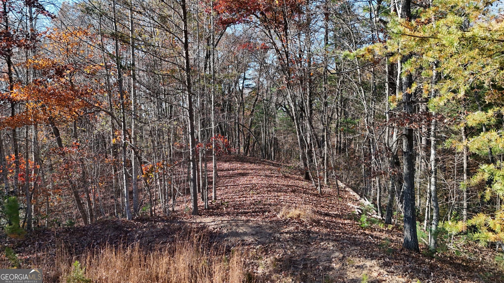residential lot for sale at LOT 197 Springwinds Drive, Cleveland, GA 30528 — photo 1 of 7