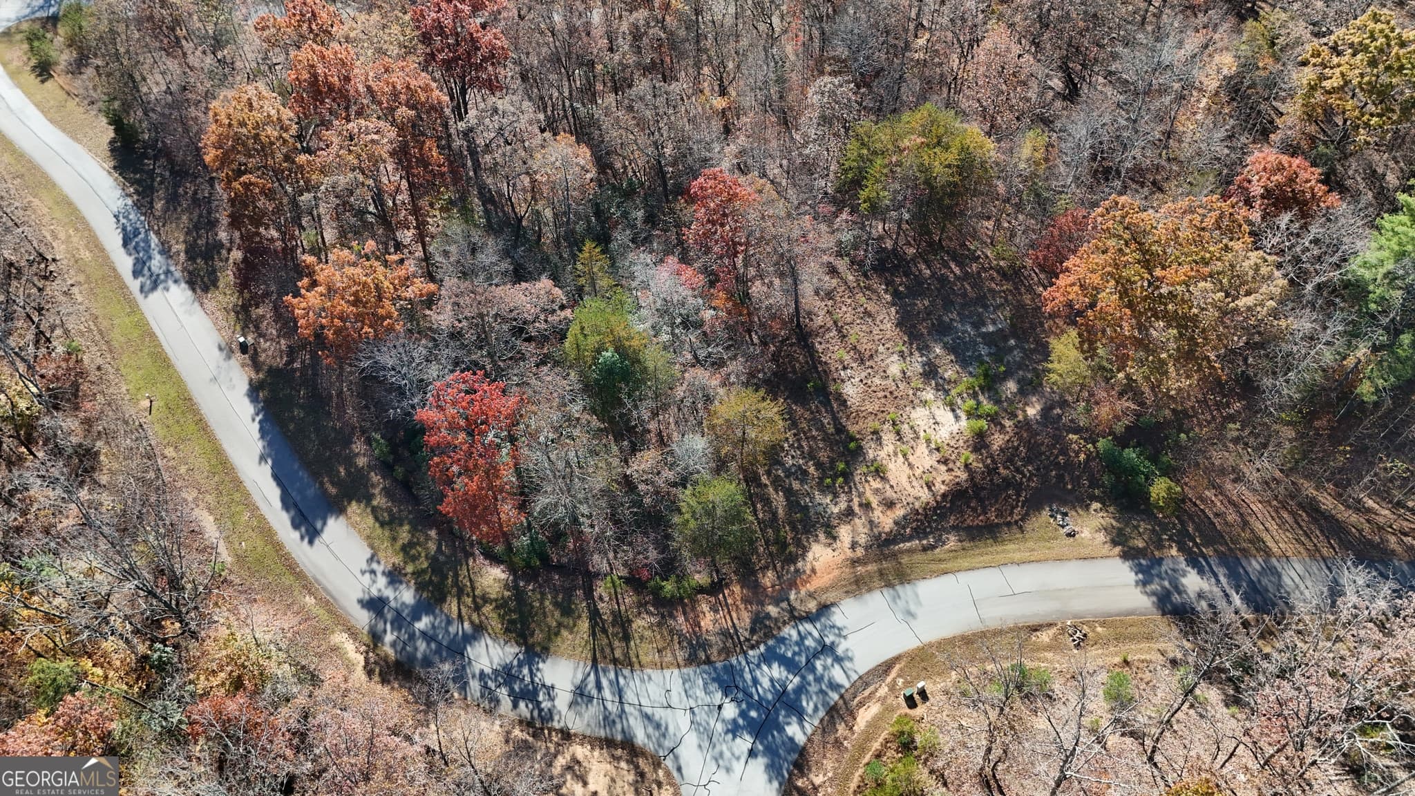 residential lot for sale at LOT 197 Springwinds Drive, Cleveland, GA 30528 — photo 5