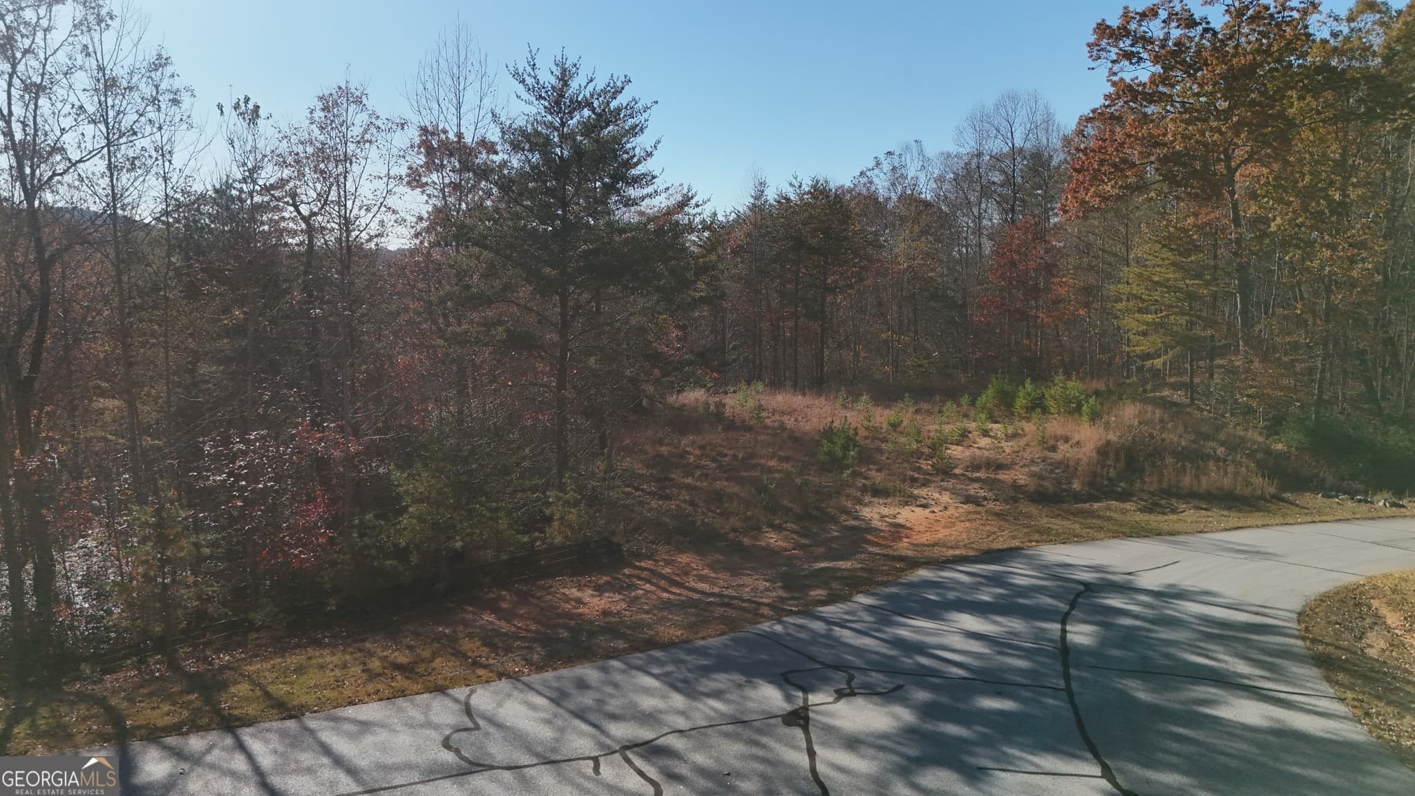 residential lot for sale at LOT 197 Springwinds Drive, Cleveland, GA 30528 — photo 4