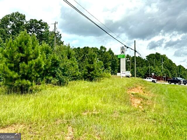 commercial for sale at 0 19 41 Highway, Hampton, GA 30228 — photo 3